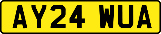 AY24WUA