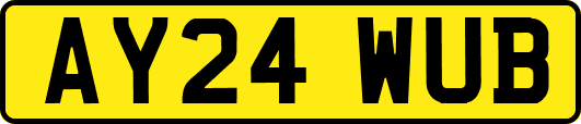 AY24WUB