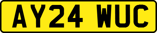 AY24WUC