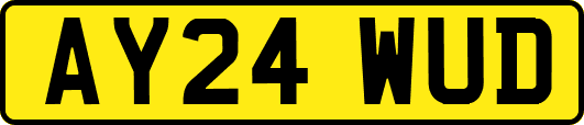 AY24WUD