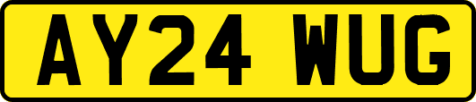 AY24WUG