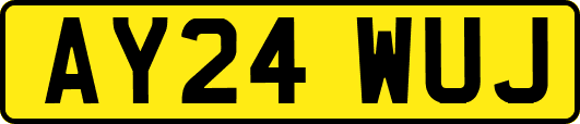 AY24WUJ