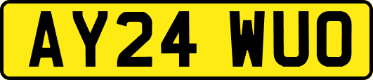AY24WUO