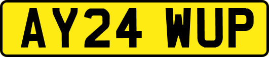 AY24WUP