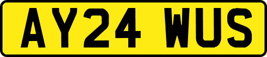 AY24WUS