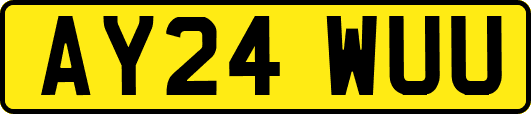 AY24WUU