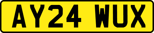 AY24WUX