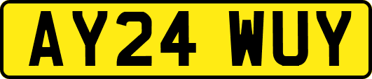 AY24WUY
