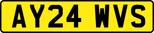 AY24WVS