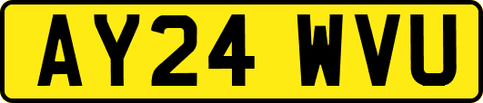 AY24WVU