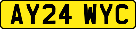 AY24WYC