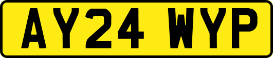 AY24WYP