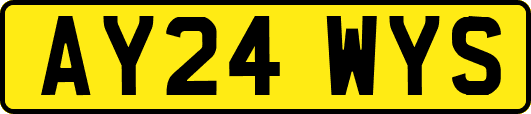 AY24WYS