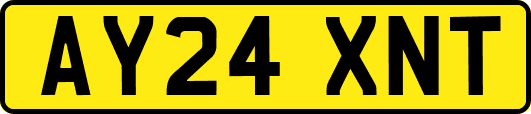 AY24XNT