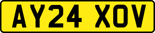 AY24XOV