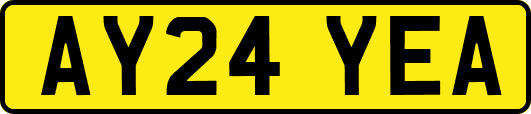 AY24YEA