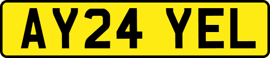 AY24YEL