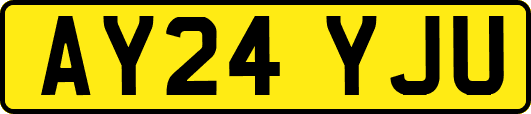 AY24YJU
