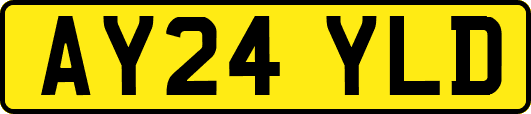AY24YLD