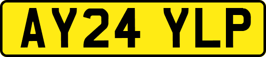 AY24YLP