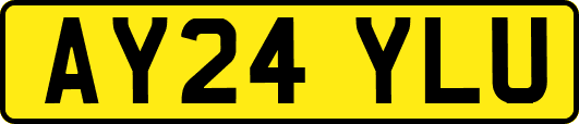 AY24YLU