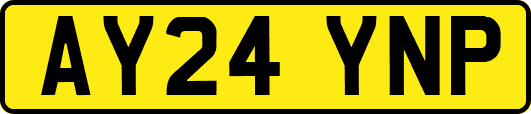 AY24YNP