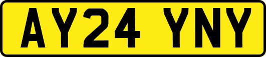 AY24YNY