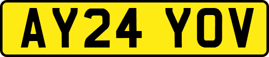 AY24YOV