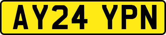 AY24YPN