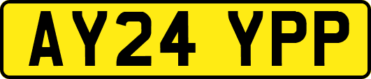 AY24YPP