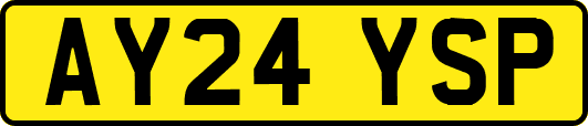 AY24YSP