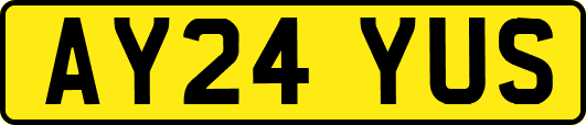 AY24YUS