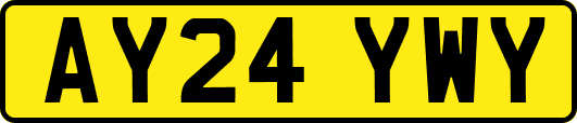 AY24YWY