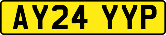 AY24YYP