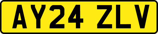 AY24ZLV