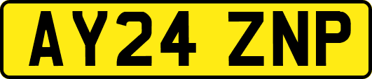 AY24ZNP