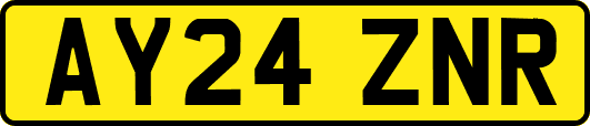 AY24ZNR