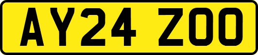 AY24ZOO