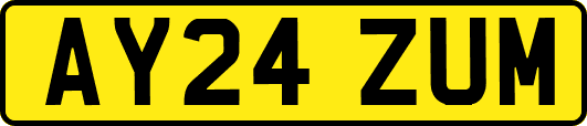 AY24ZUM