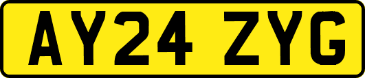 AY24ZYG