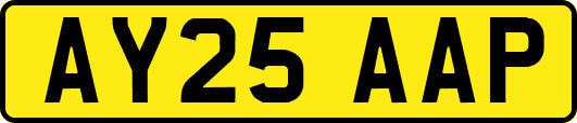 AY25AAP