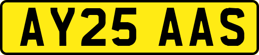 AY25AAS