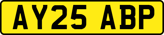AY25ABP