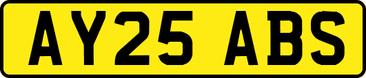 AY25ABS