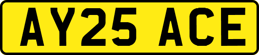 AY25ACE