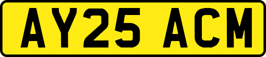 AY25ACM