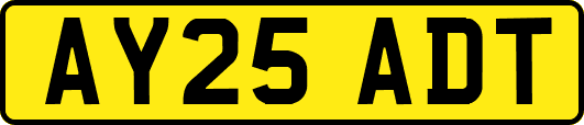 AY25ADT