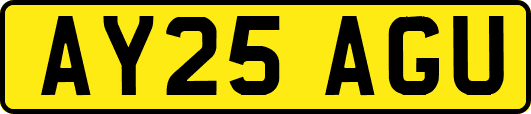 AY25AGU
