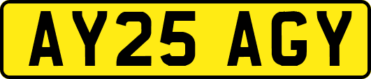 AY25AGY