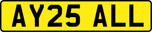 AY25ALL